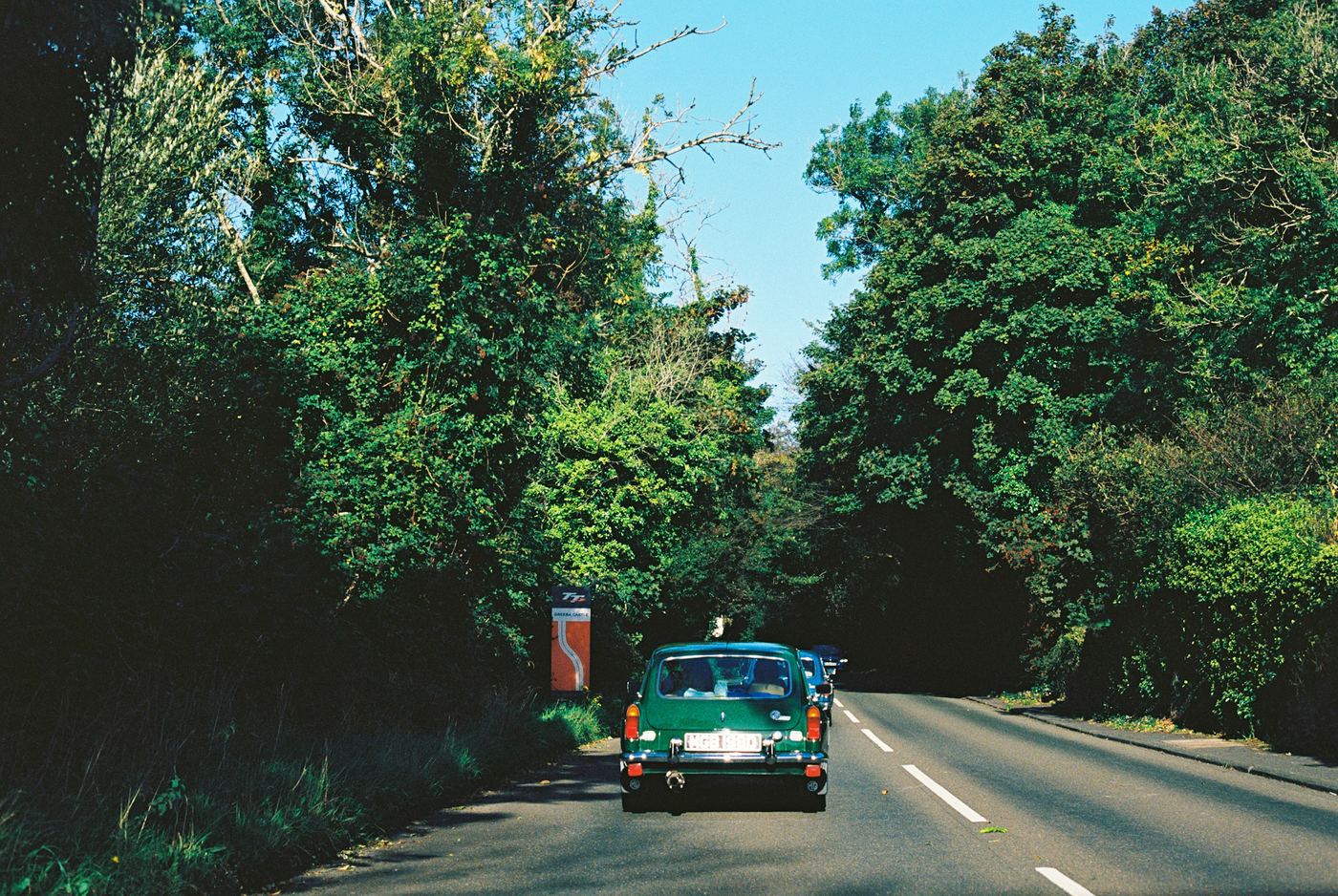 Voiture ancienne sur une route bordée d'arbres